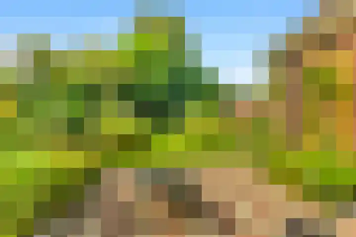 Willem de Rijkelaan 8 Castricum thumbnail 63