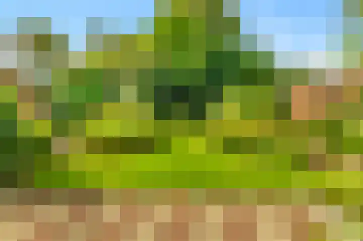 Willem de Rijkelaan 8 Castricum thumbnail 80