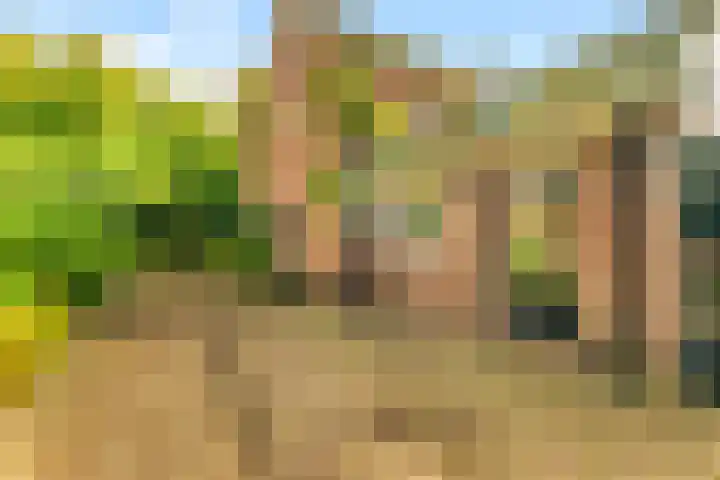 Willem de Rijkelaan 8 Castricum thumbnail 87