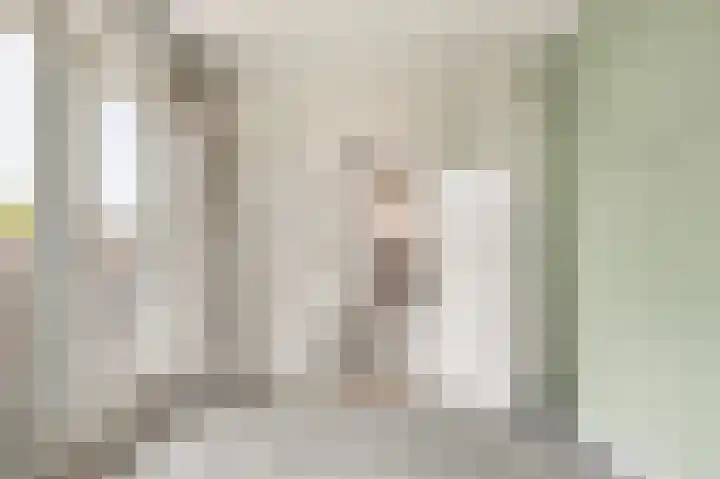 Willem de Rijkelaan 8 Castricum thumbnail 99