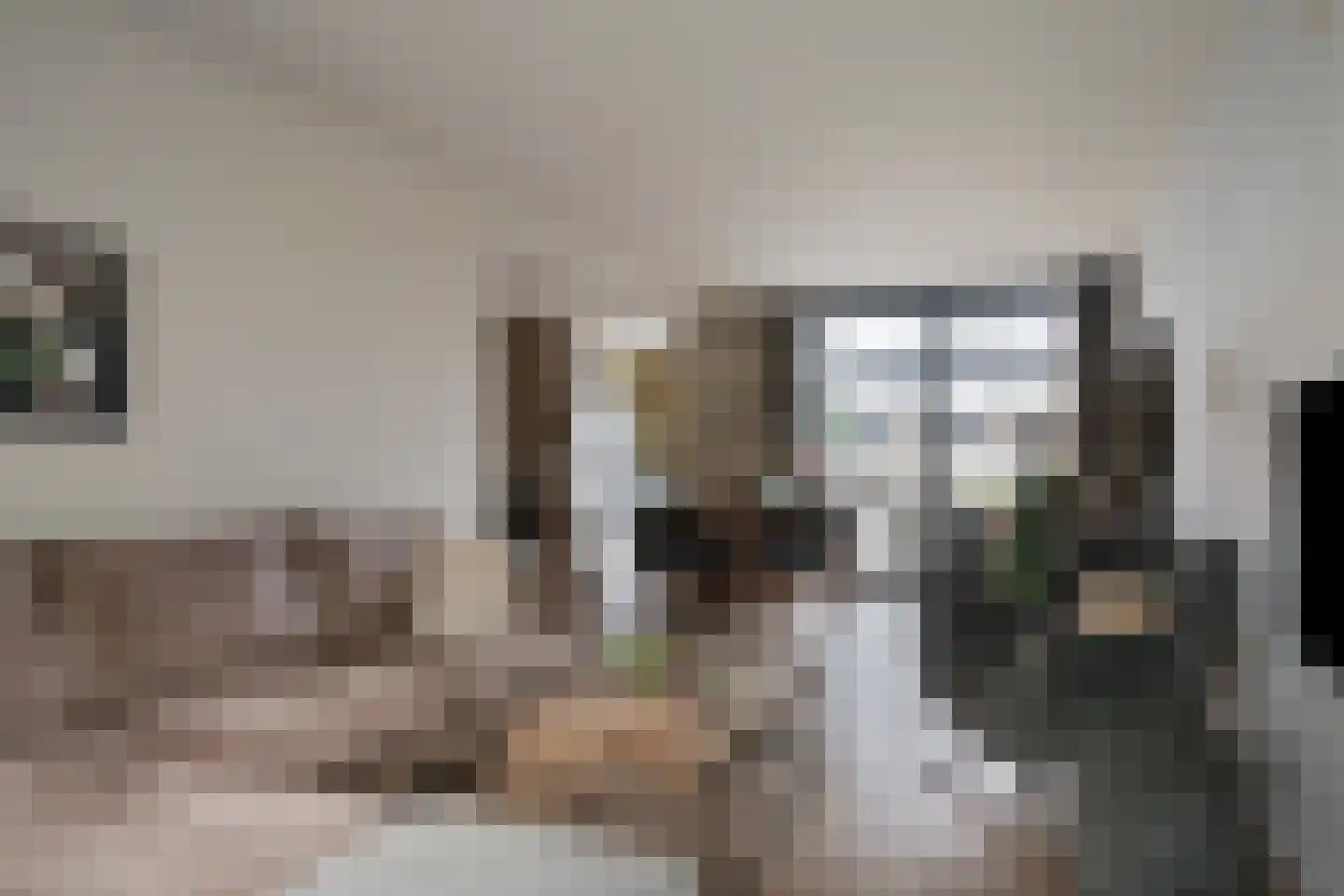 Willem de Rijkelaan 8 Eindhoven thumbnail 12