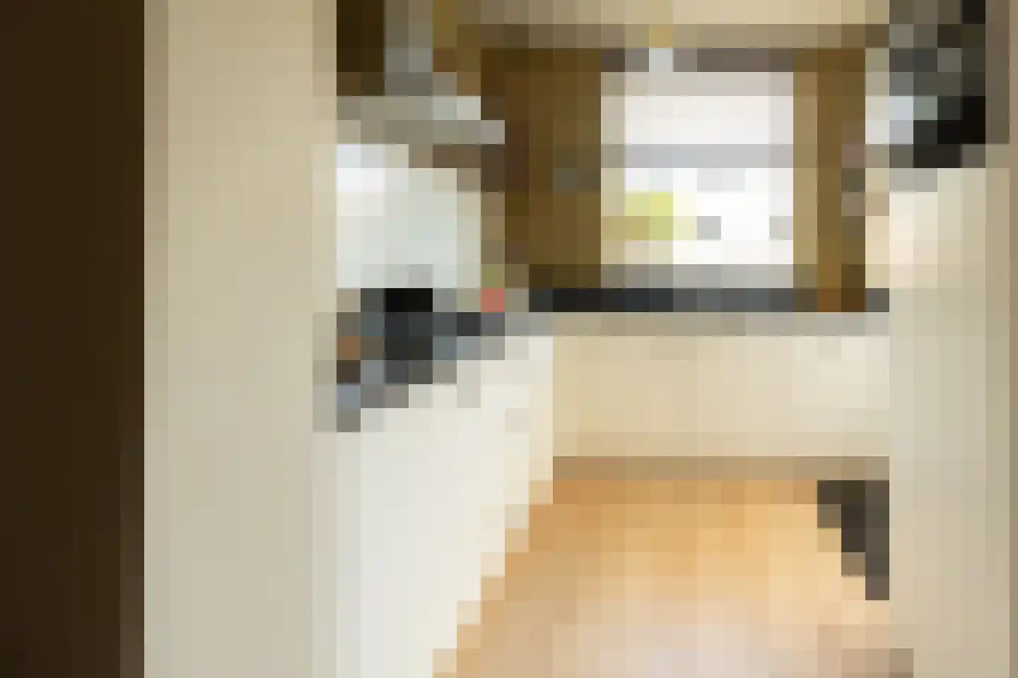 Willem de Rijkelaan 8 Eindhoven thumbnail 15