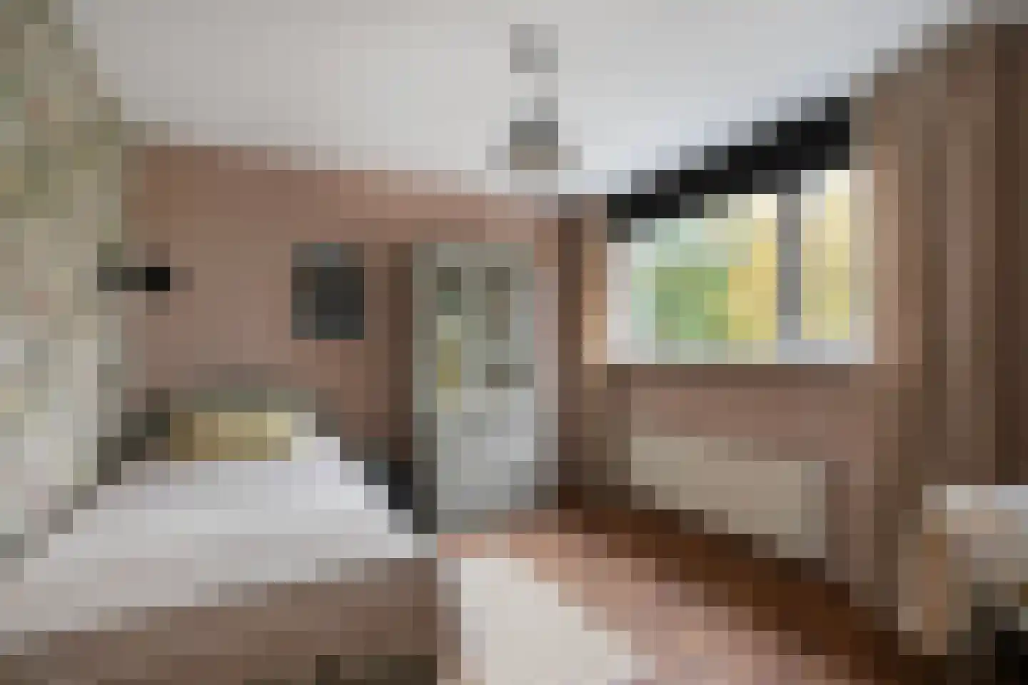 Willem de Rijkelaan 8 Eindhoven thumbnail 24