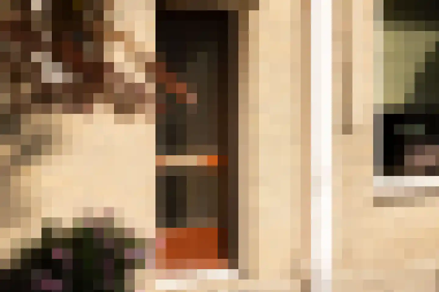 Willem de Rijkelaan 8 Eindhoven thumbnail 41
