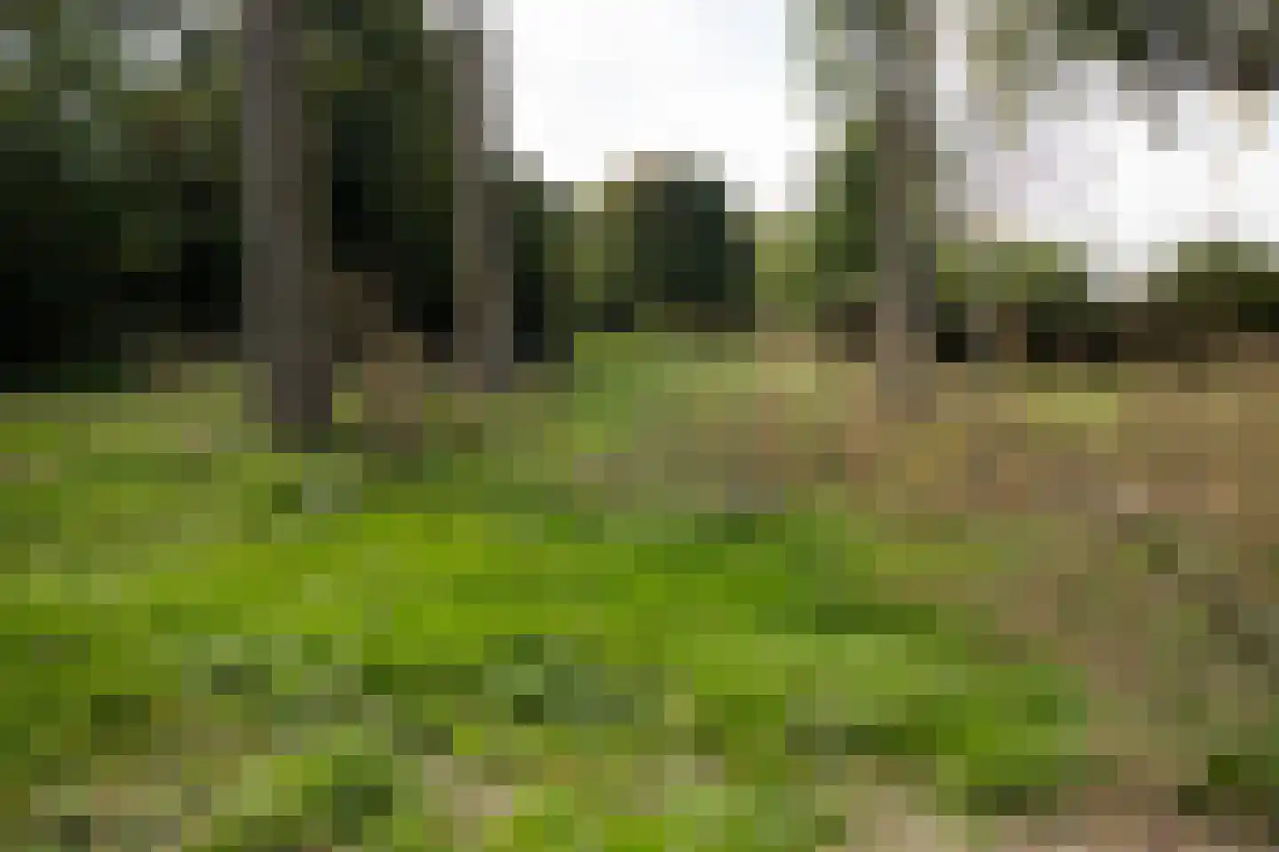 Willem de Rijkelaan 8 Eindhoven thumbnail 47