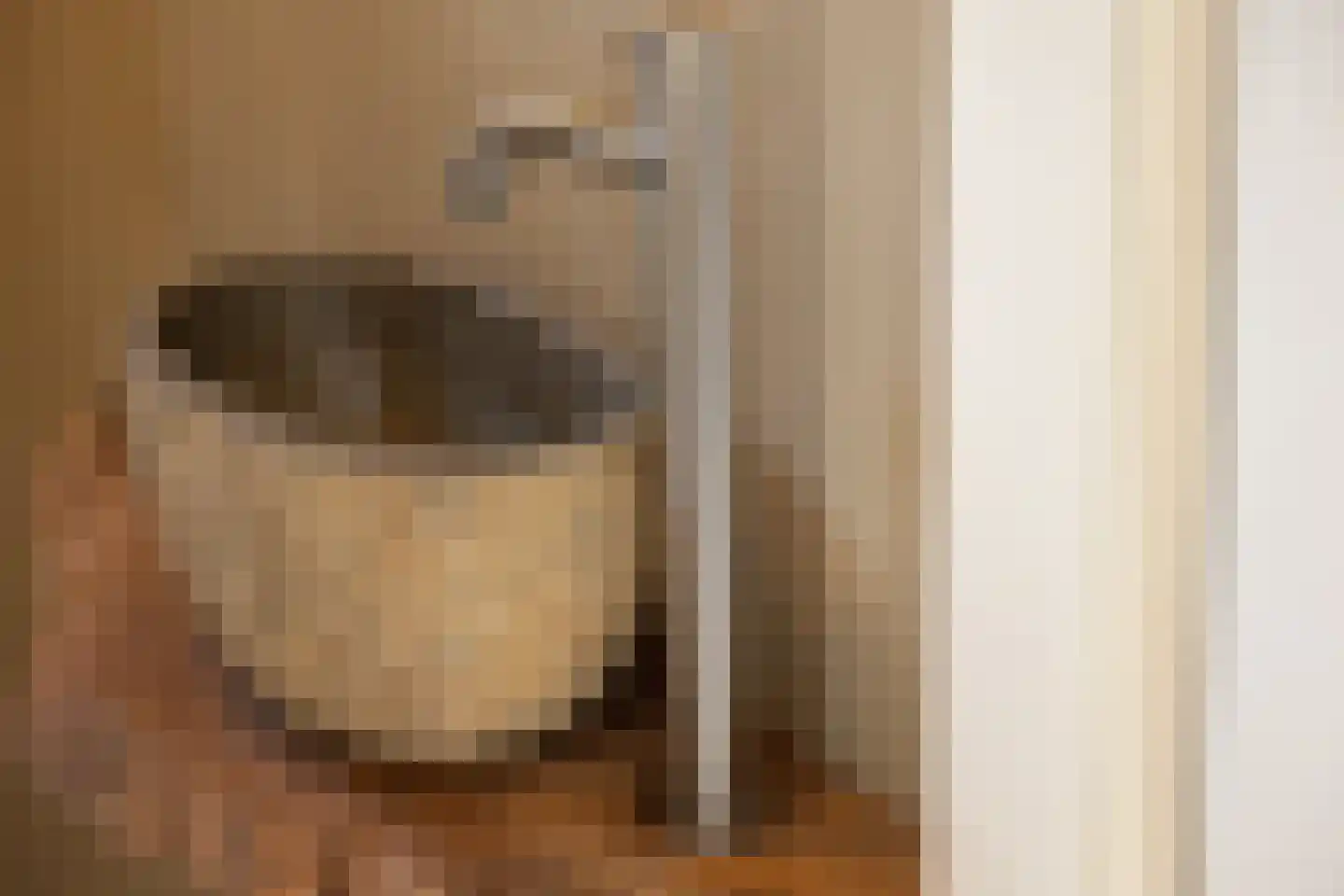 Willem de Rijkelaan 8 Eindhoven thumbnail 6