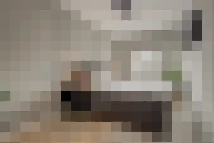 Willem de Rijkelaan 86 Waddinxveen thumbnail 15