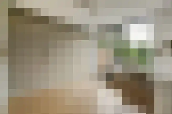 Willem de Rijkelaan 86 Waddinxveen thumbnail 20