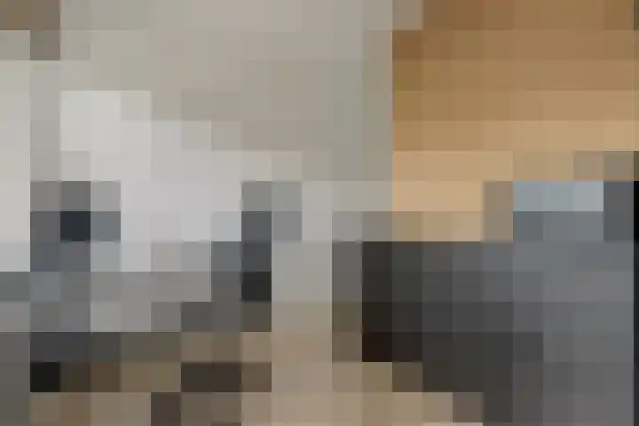 Willem de Rijkelaan 86 Waddinxveen thumbnail 22