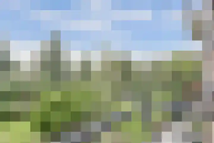 Willem de Rijkelaan 86 Waddinxveen thumbnail 28