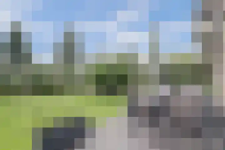 Willem de Rijkelaan 86 Waddinxveen thumbnail 30