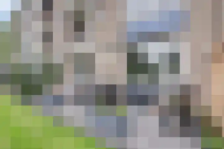 Willem de Rijkelaan 86 Waddinxveen thumbnail 5