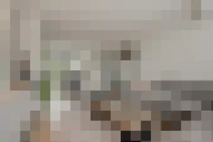 Willem de Rijkelaan 86 Waddinxveen thumbnail 7