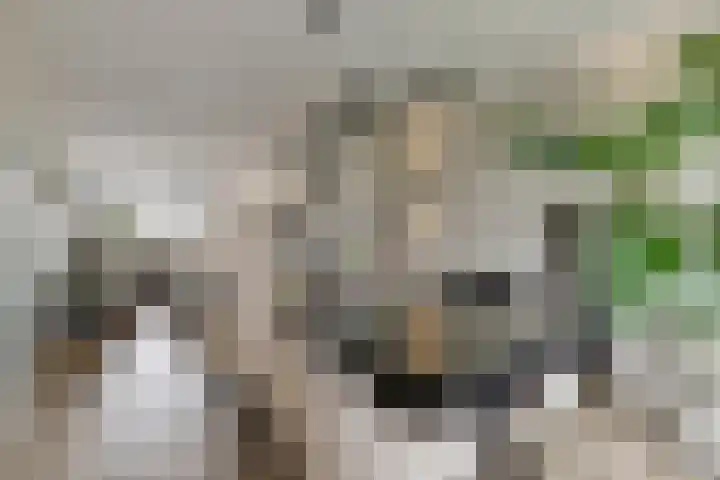 Willem de Rijkelaan 86 Waddinxveen thumbnail 9