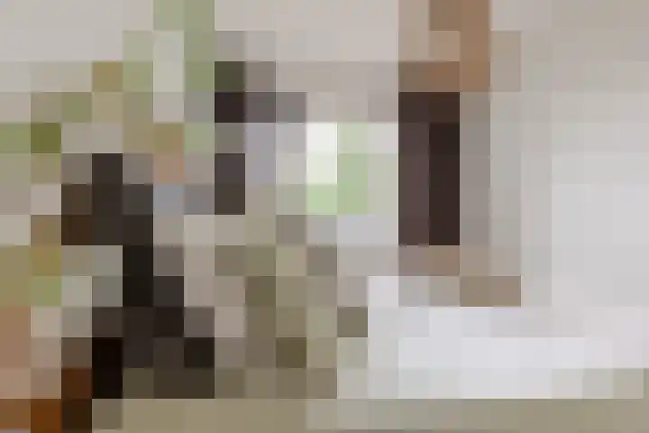 Willem de Rijkestraat 37 Rotterdam thumbnail 25