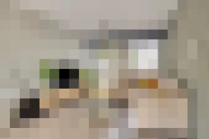 Willem de Rijkestraat 4 in Dordrecht