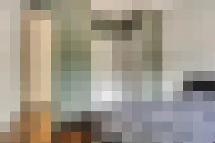 Willem de Rijkestraat 4 Dordrecht thumbnail 12