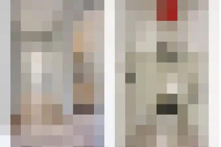 Willem de Rijkestraat 4 Dordrecht thumbnail 4