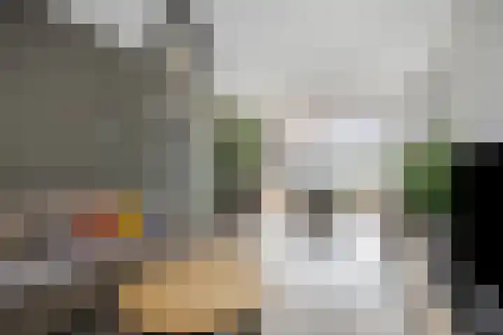Willem de Rijkestraat 4 Dordrecht thumbnail 6