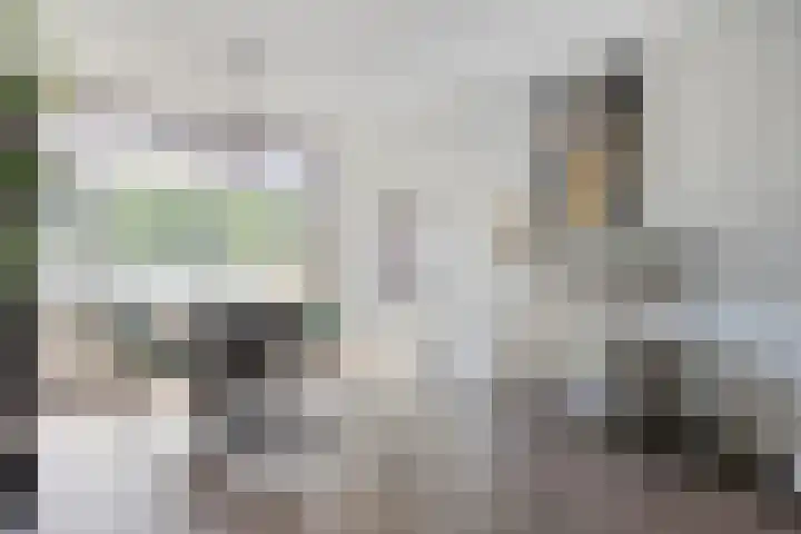 Willem de Rijkestraat 4 Dordrecht thumbnail 7