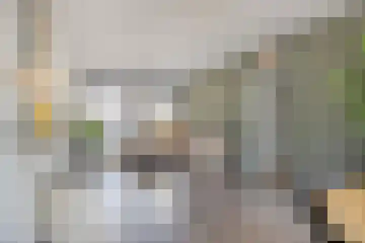 Willem de Rijkestraat 4 Dordrecht thumbnail 8