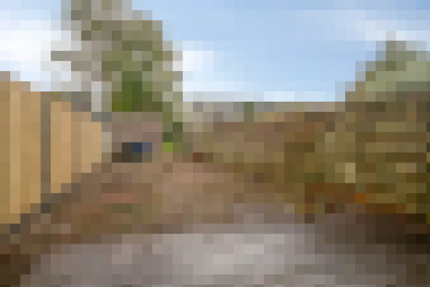 Willem de Vlaminghstraat 55 Almere thumbnail 33