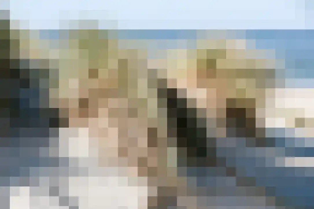 Willem de Vlaminghweg 2 302 Vlieland thumbnail 19