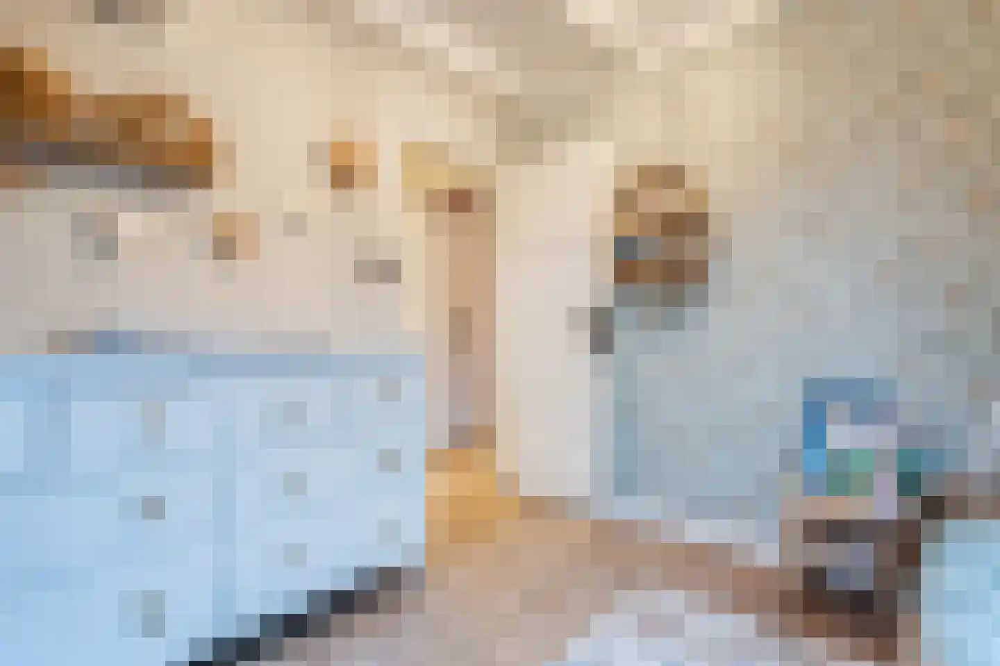 Willem de Vlaminghweg 37 Vlieland thumbnail 37