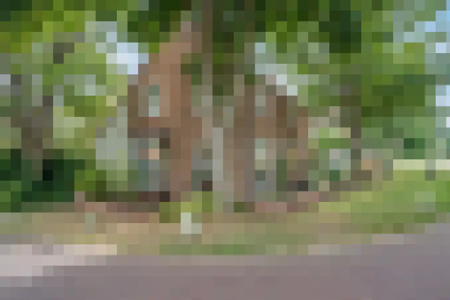 Willem de Vlaminghweg 37 Vlieland thumbnail 4