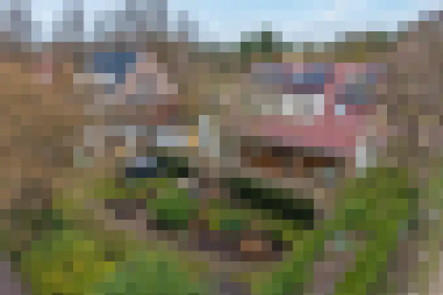 Willem de Vlaminghweg 37 Vlieland thumbnail 48