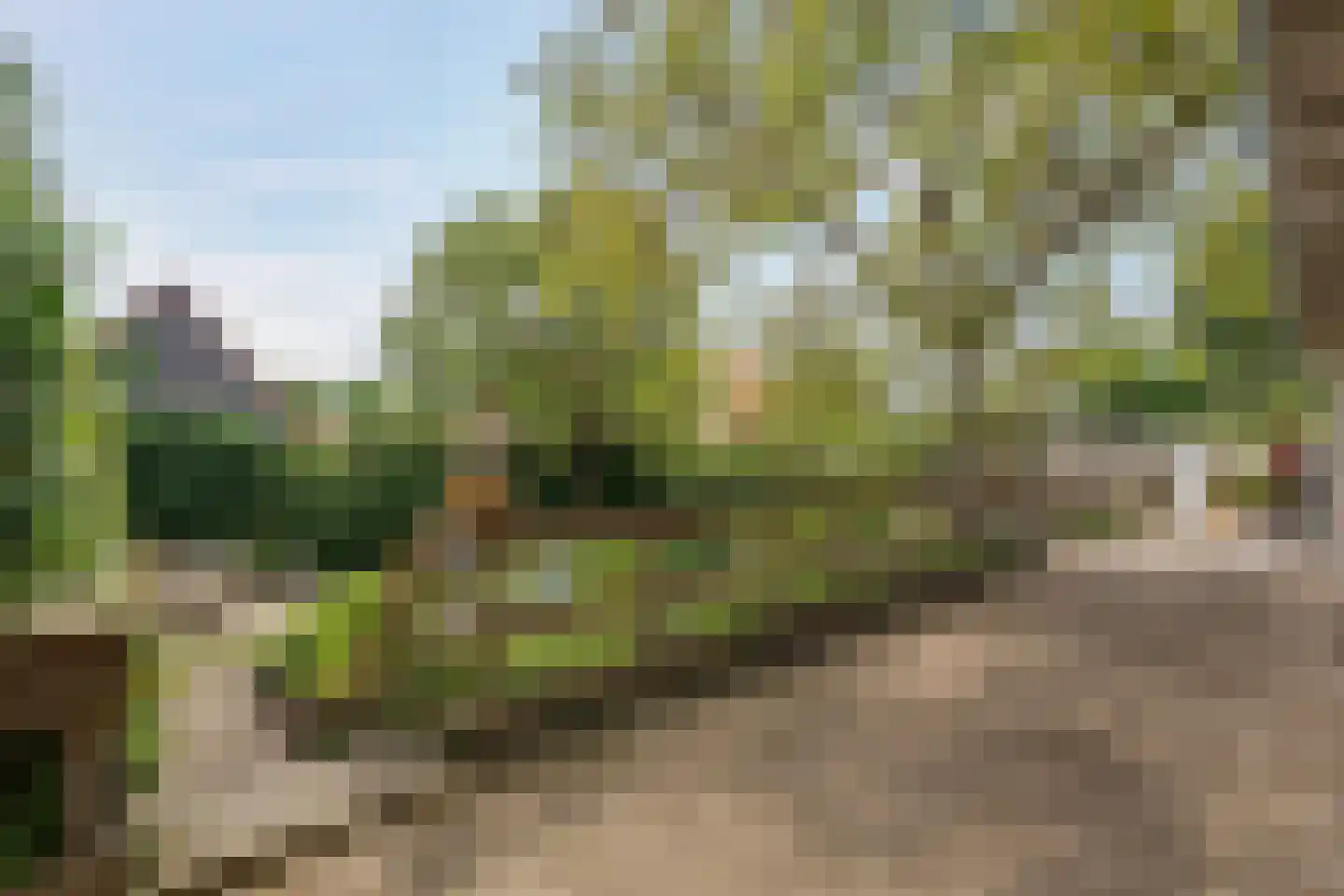 Willem de Vlaminghweg 37 Vlieland thumbnail 49