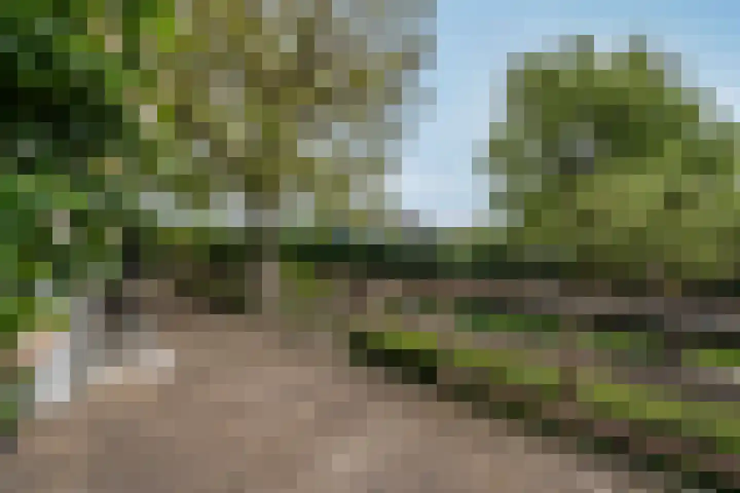 Willem de Vlaminghweg 37 Vlieland thumbnail 50