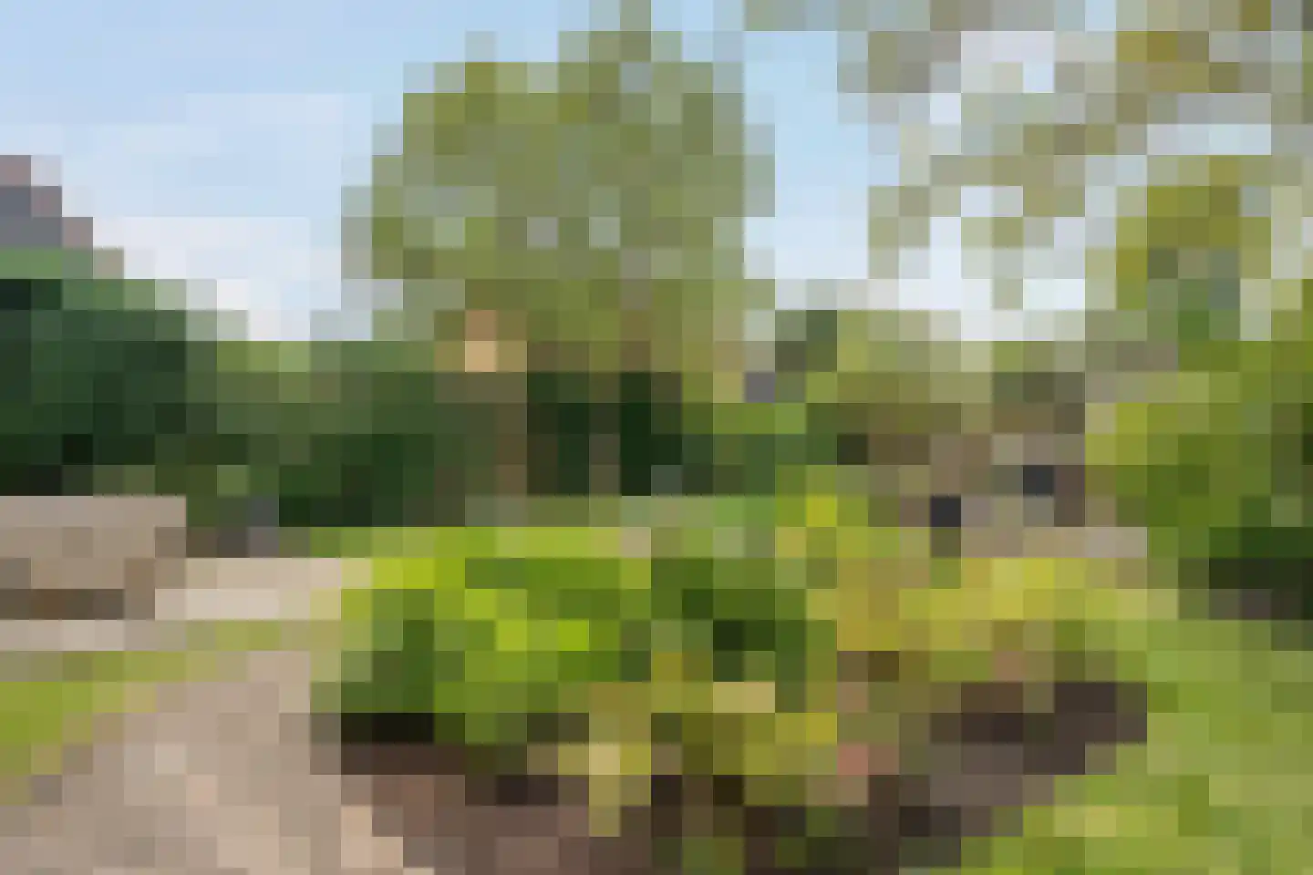 Willem de Vlaminghweg 37 Vlieland thumbnail 52