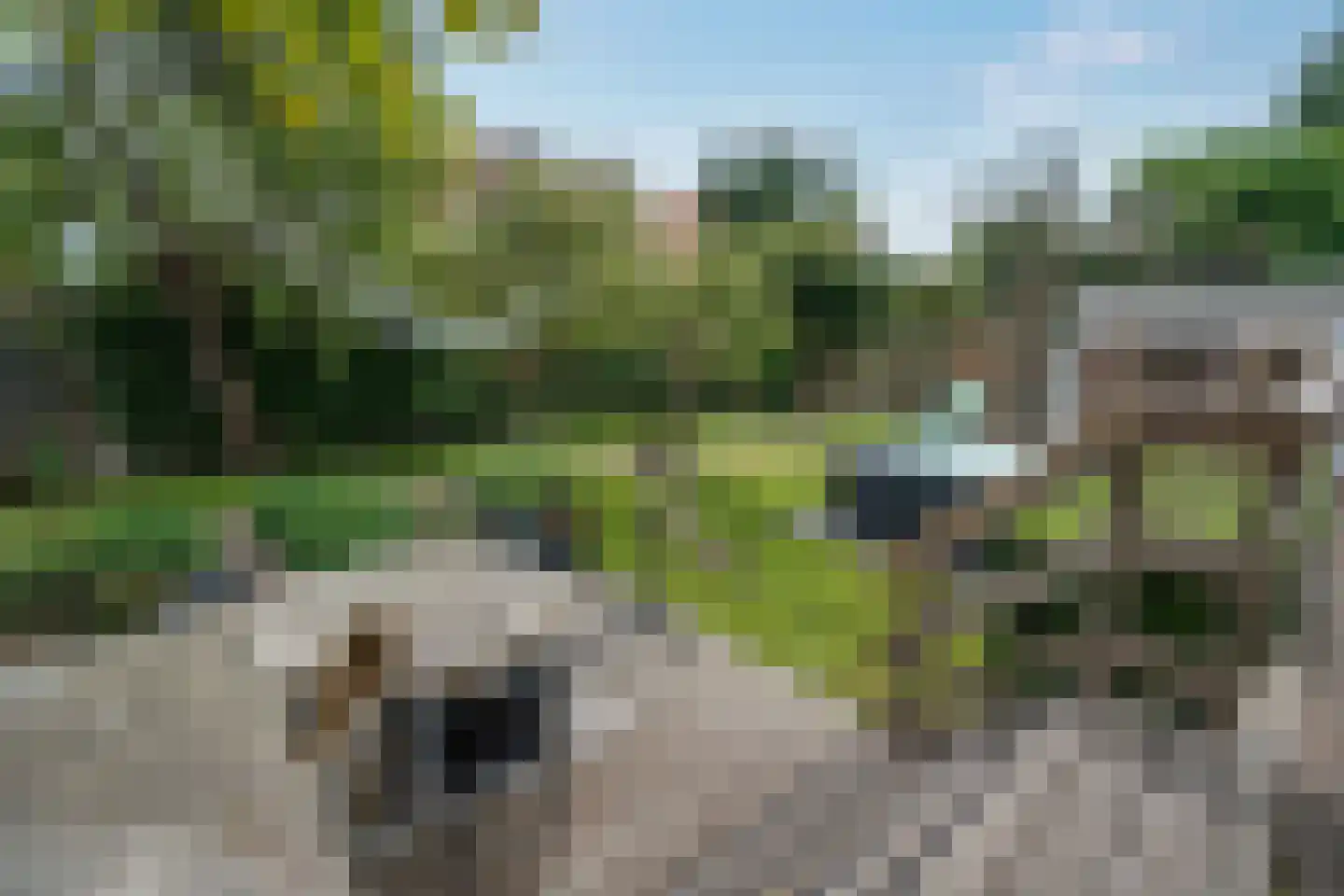 Willem de Vlaminghweg 37 Vlieland thumbnail 55