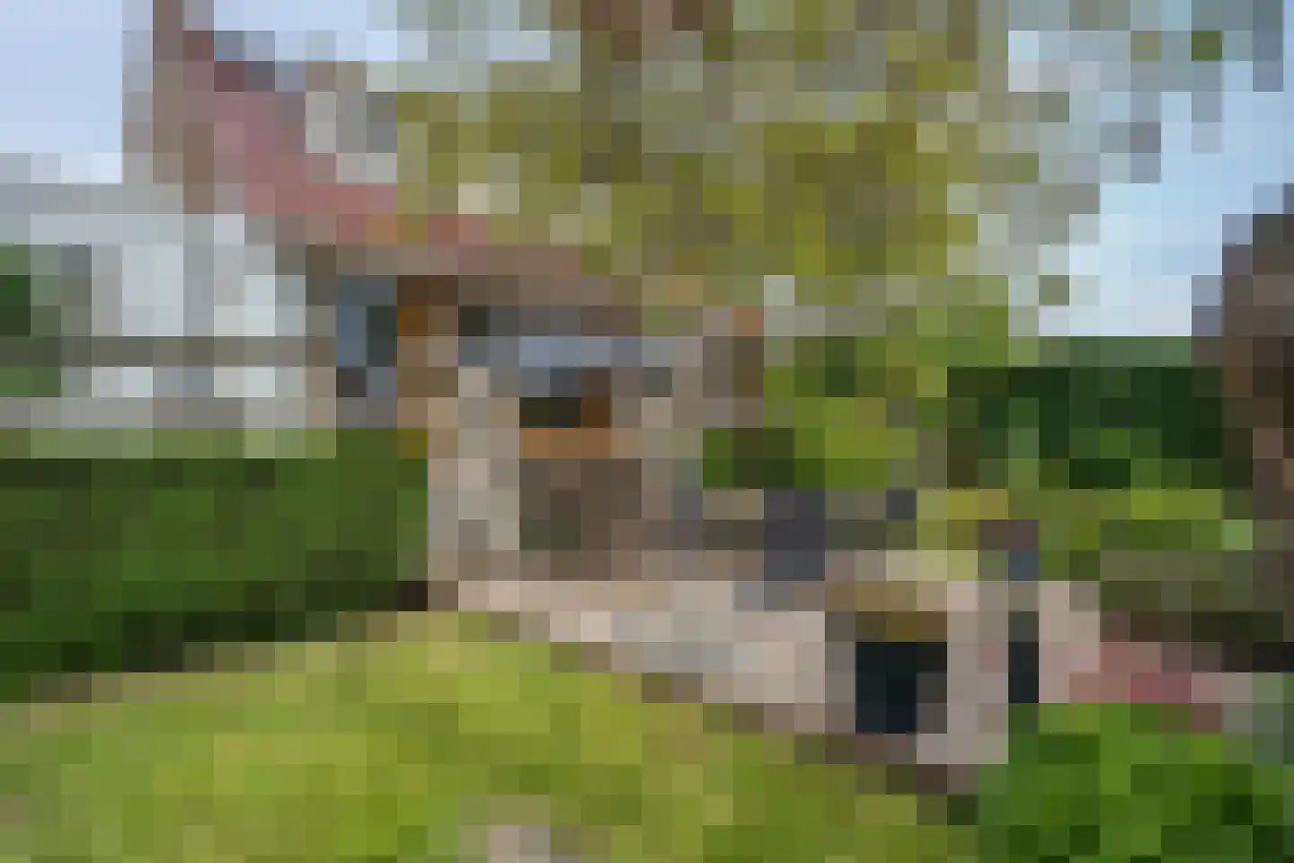 Willem de Vlaminghweg 37 Vlieland thumbnail 56