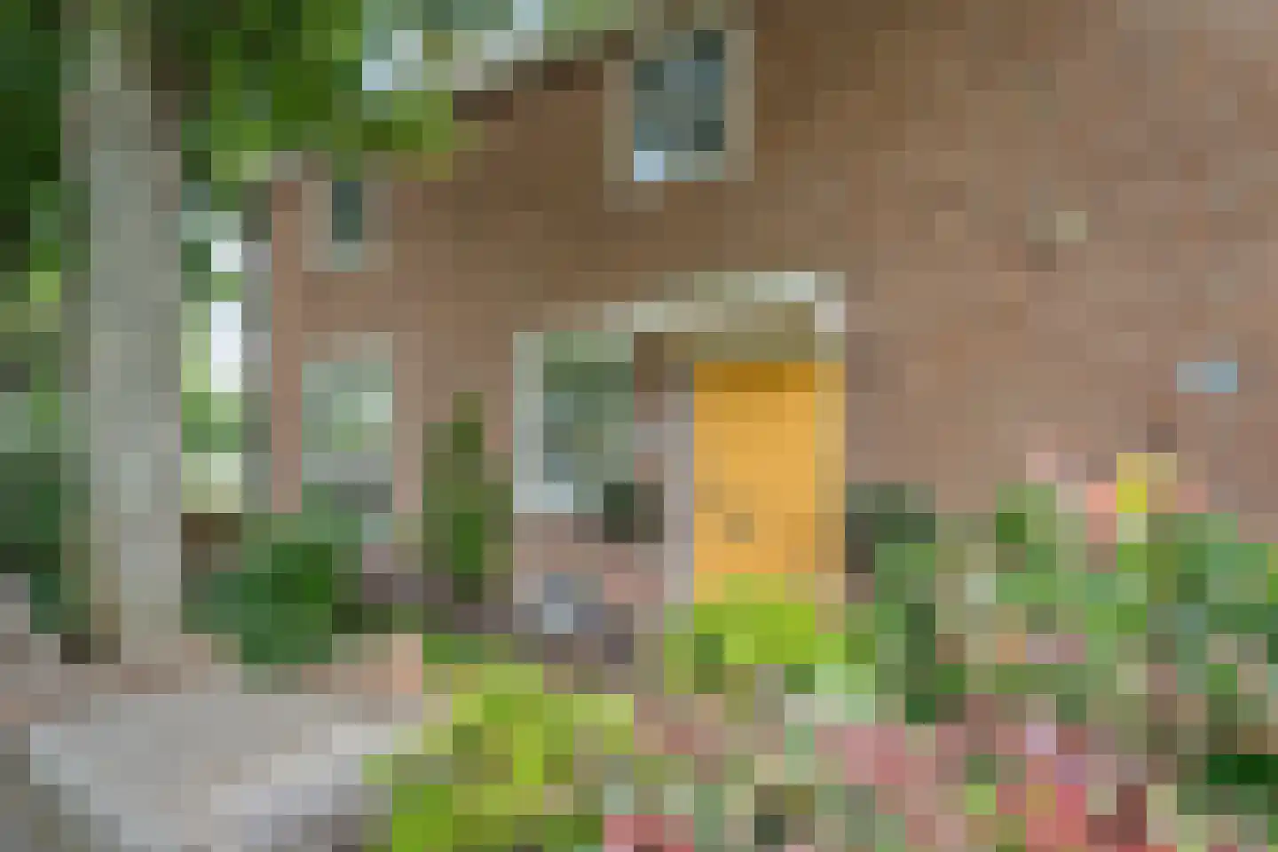 Willem de Vlaminghweg 37 Vlieland thumbnail 60