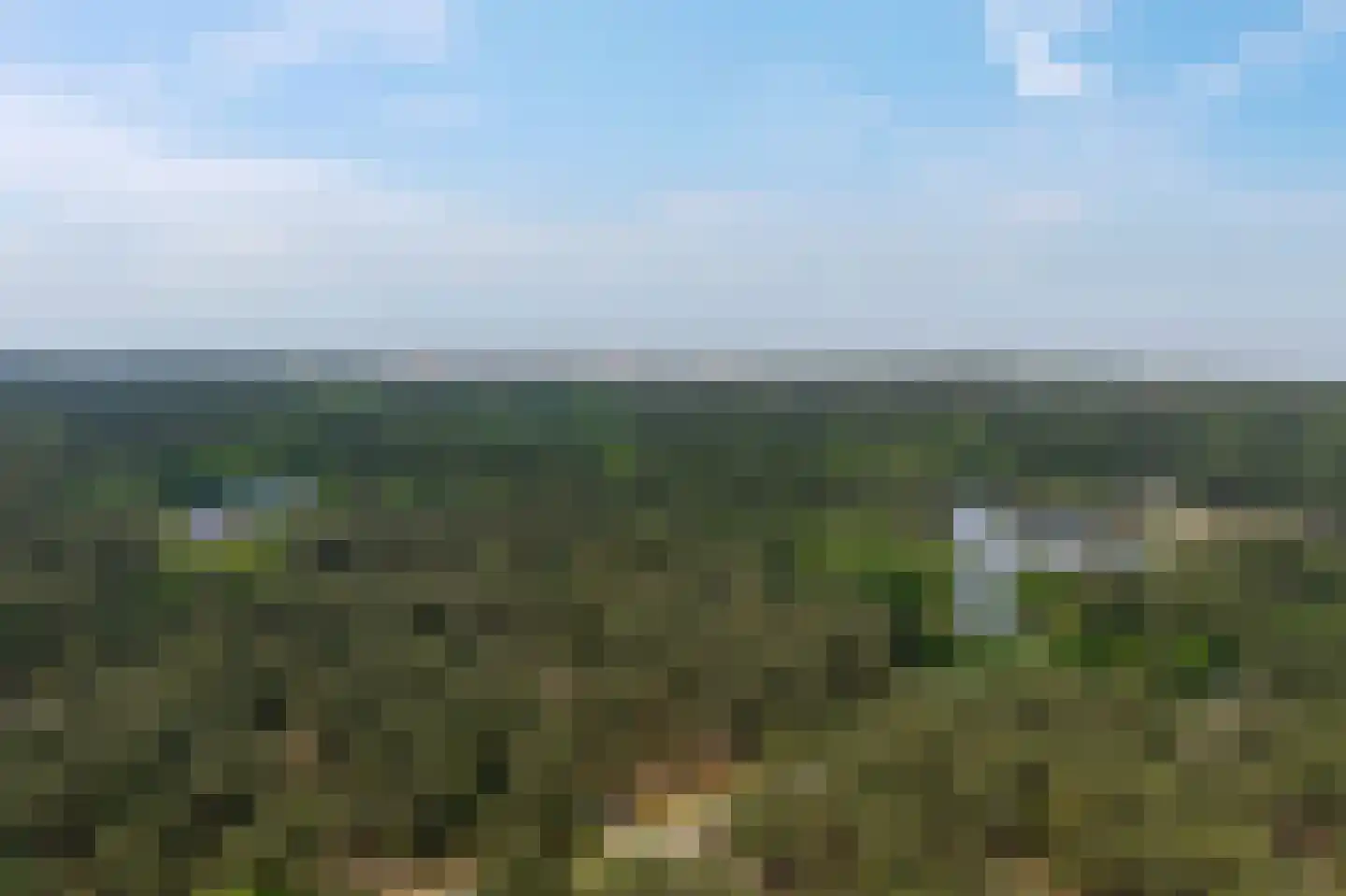 Willem de Vlaminghweg 37 Vlieland thumbnail 61
