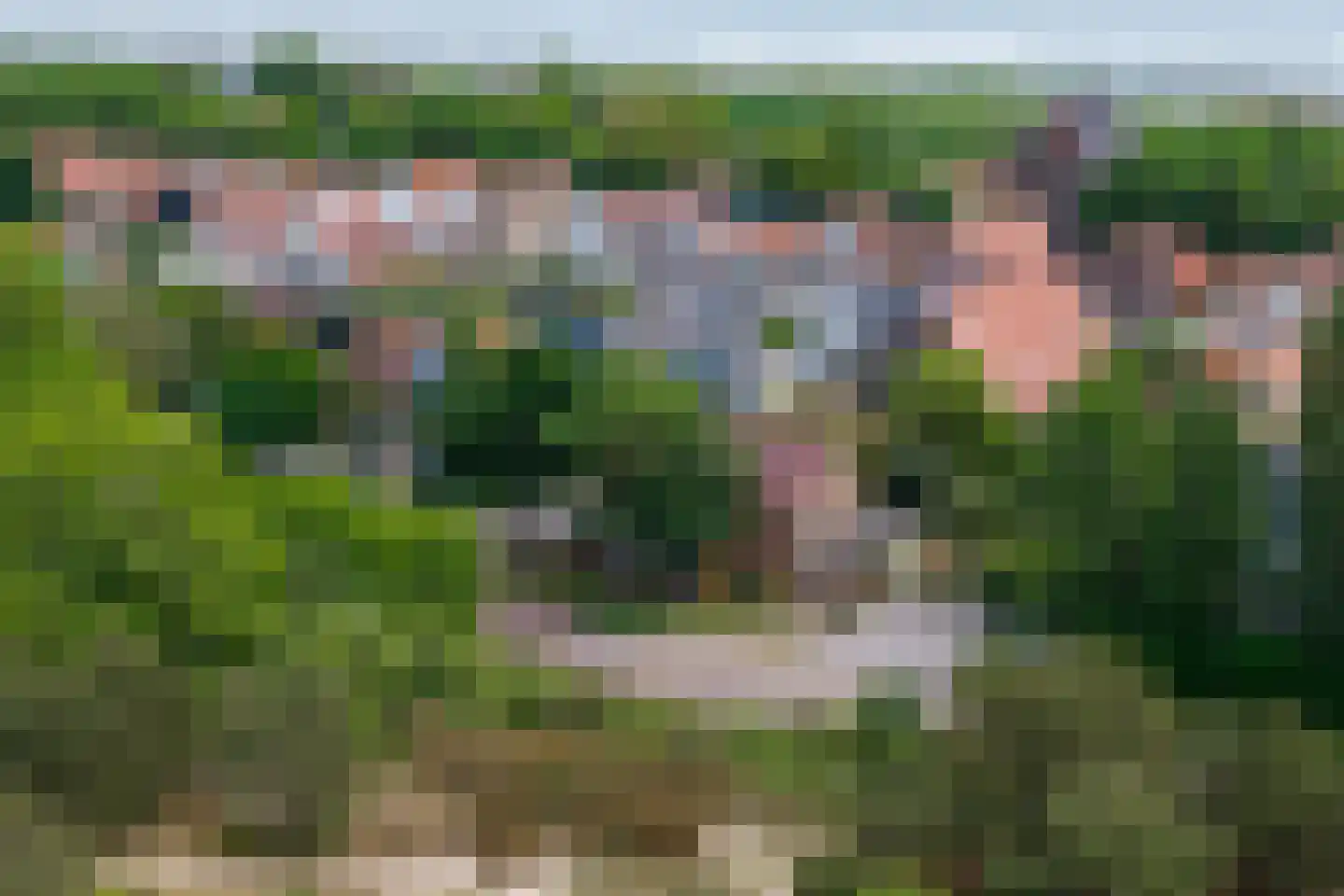 Willem de Vlaminghweg 37 Vlieland thumbnail 63