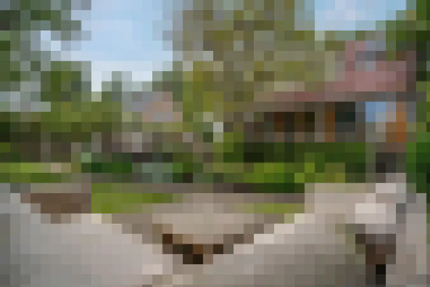 Willem de Vlaminghweg 37 Vlieland thumbnail 7
