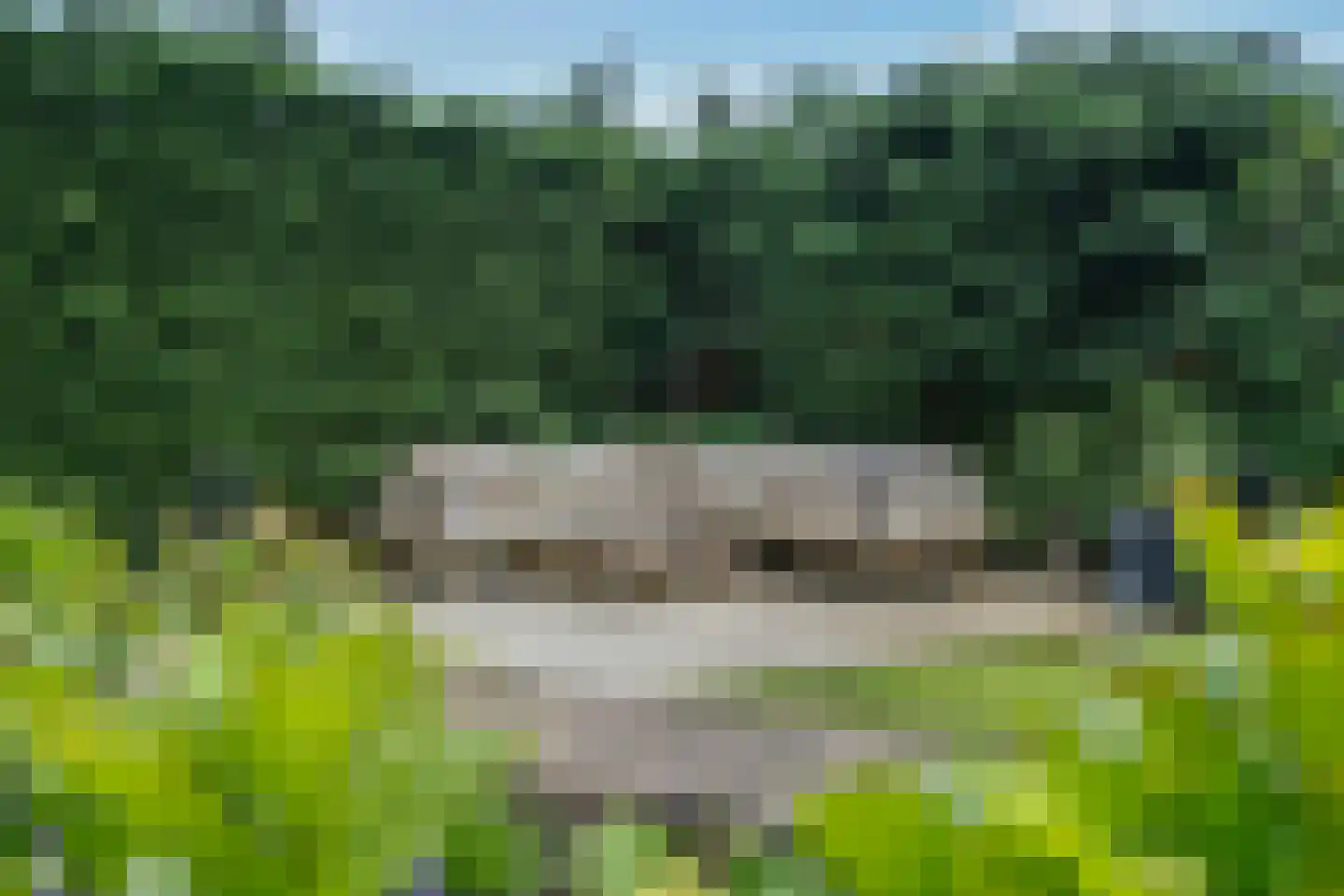 Willem de Vlaminghweg 37 Vlieland thumbnail 8