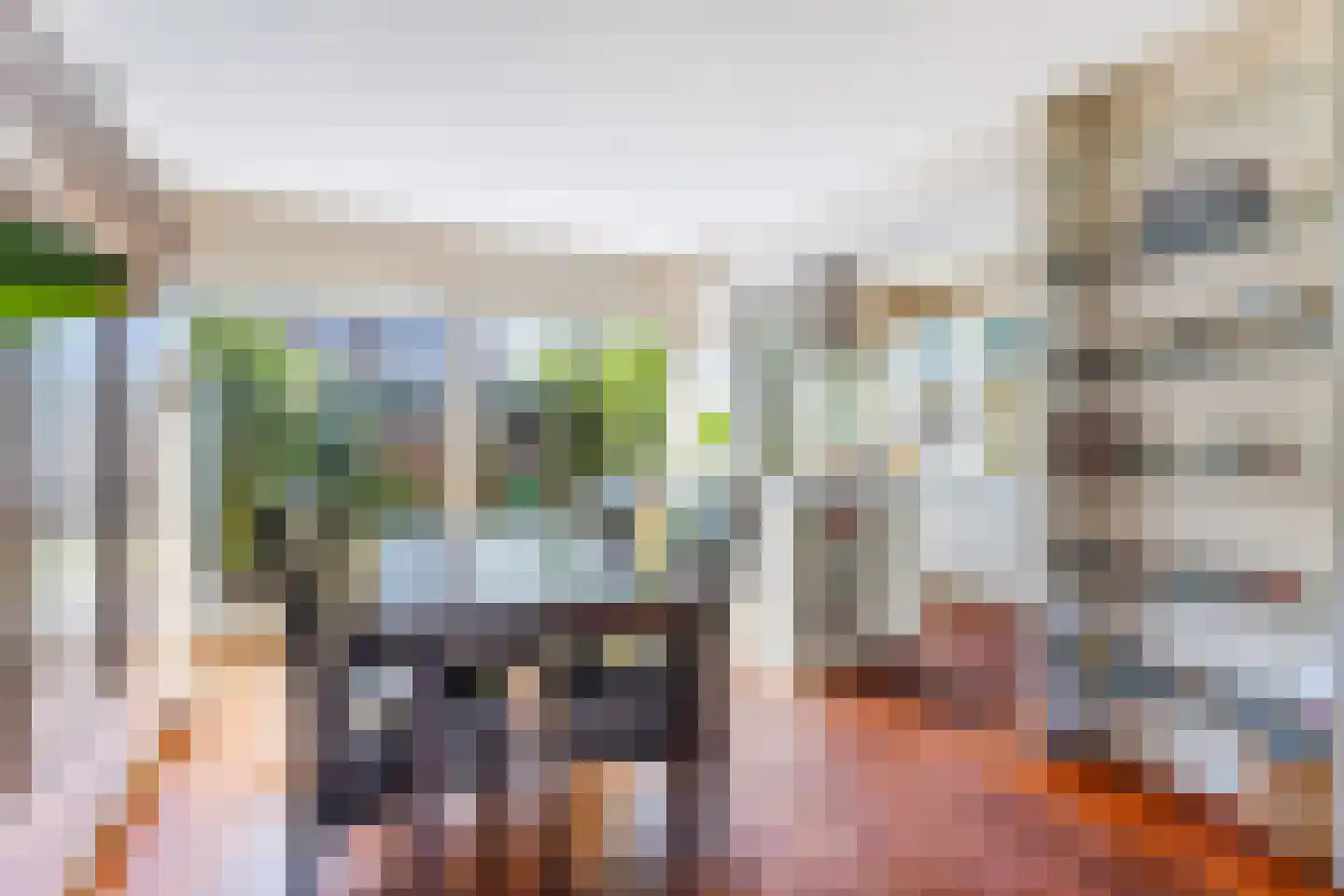 Willem de Zwartstraat 15 Woerden thumbnail 16