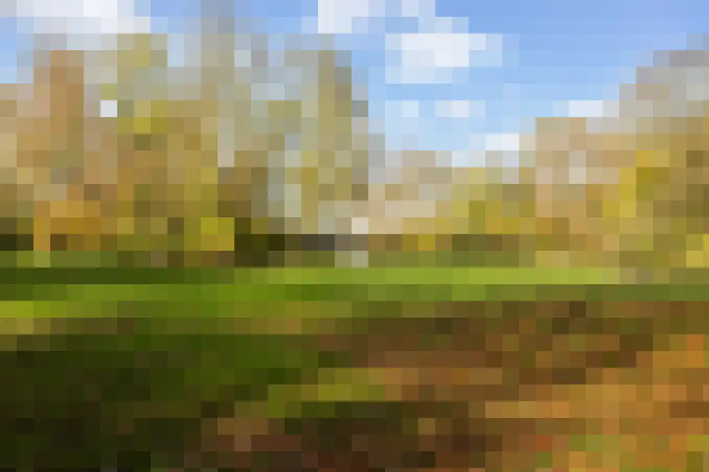 Willem de Zwartstraat 5 Woerden thumbnail 26