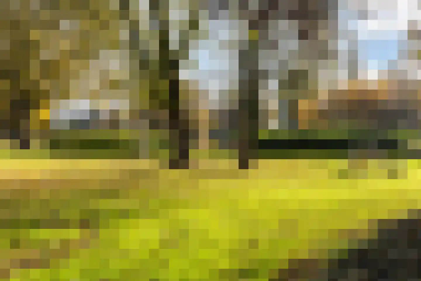 Willem de Zwartstraat 5 Woerden thumbnail 27