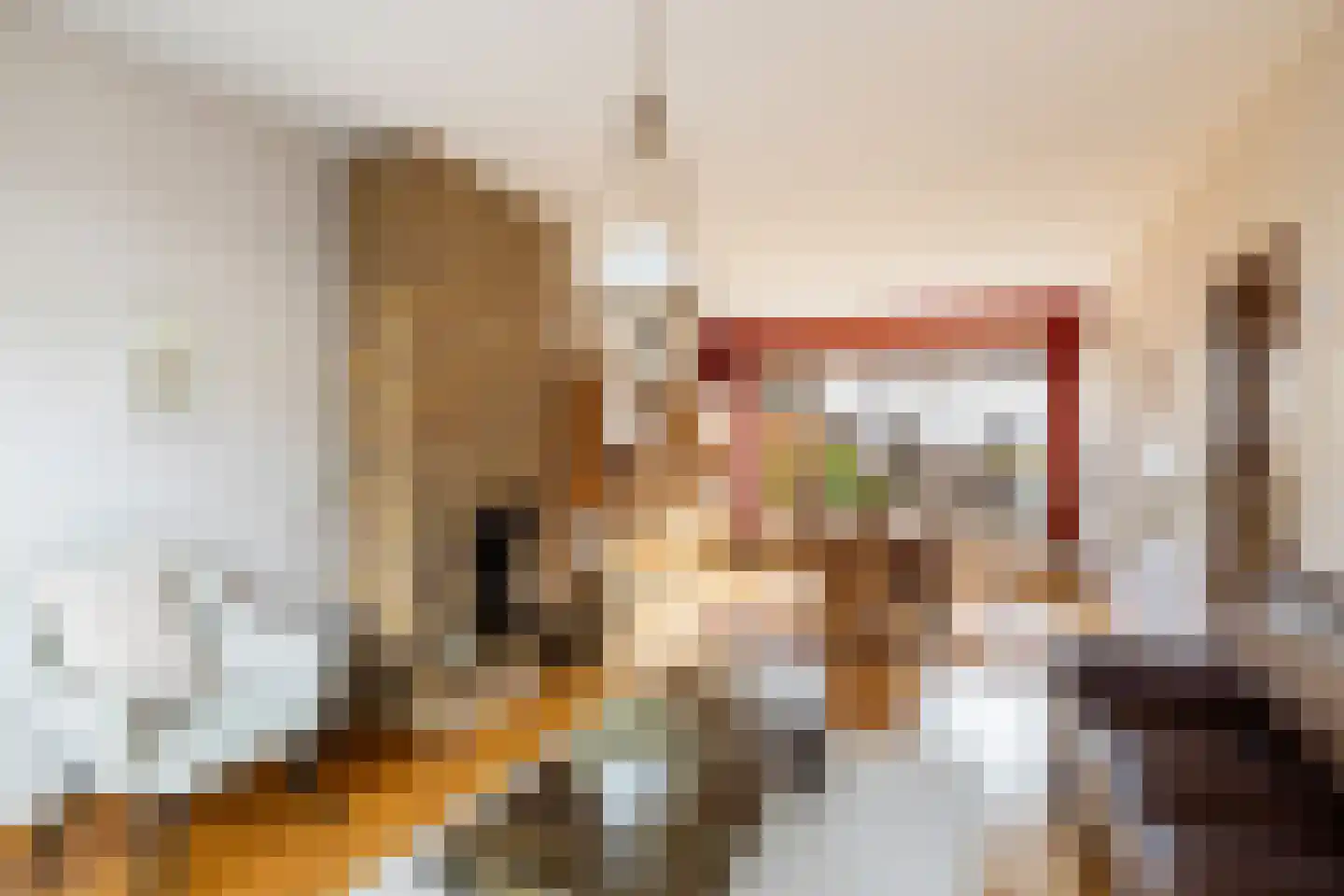 Willem de Zwartstraat 5 Woerden thumbnail 5