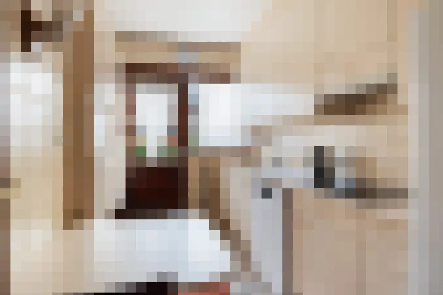 Willem de Zwartstraat 5 Woerden thumbnail 7