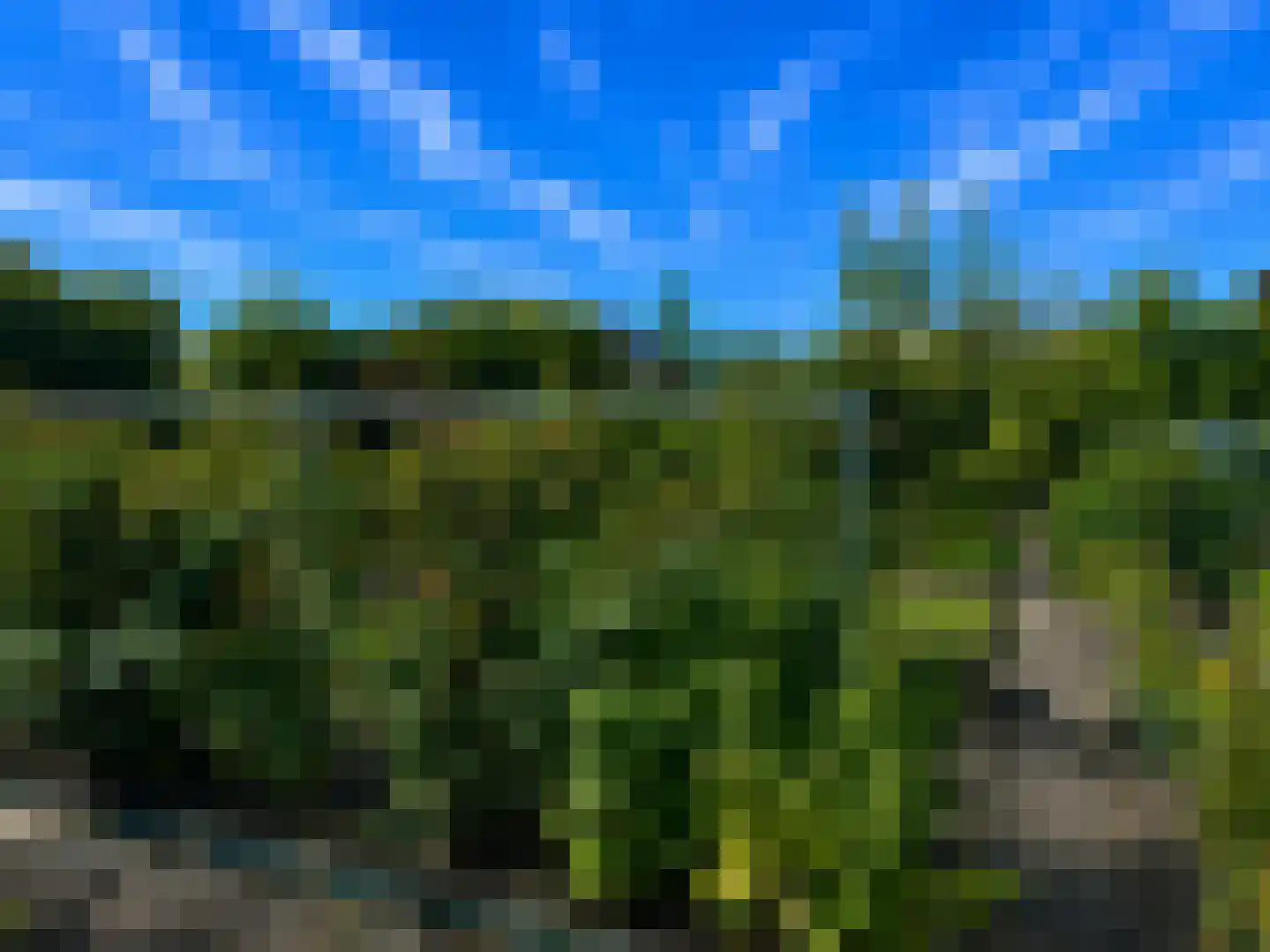 Willem de Zwijgerlaan 1 Overveen thumbnail 5