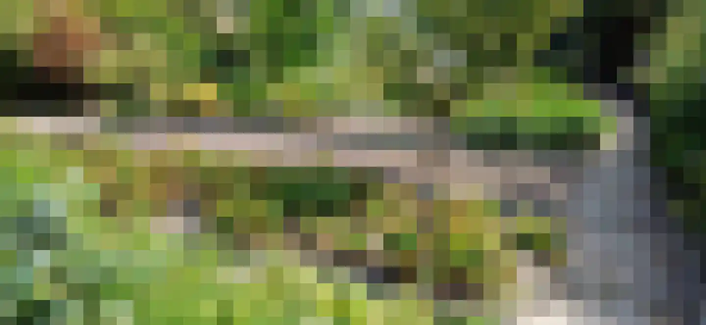 Willem de Zwijgerlaan 1 Overveen thumbnail 9