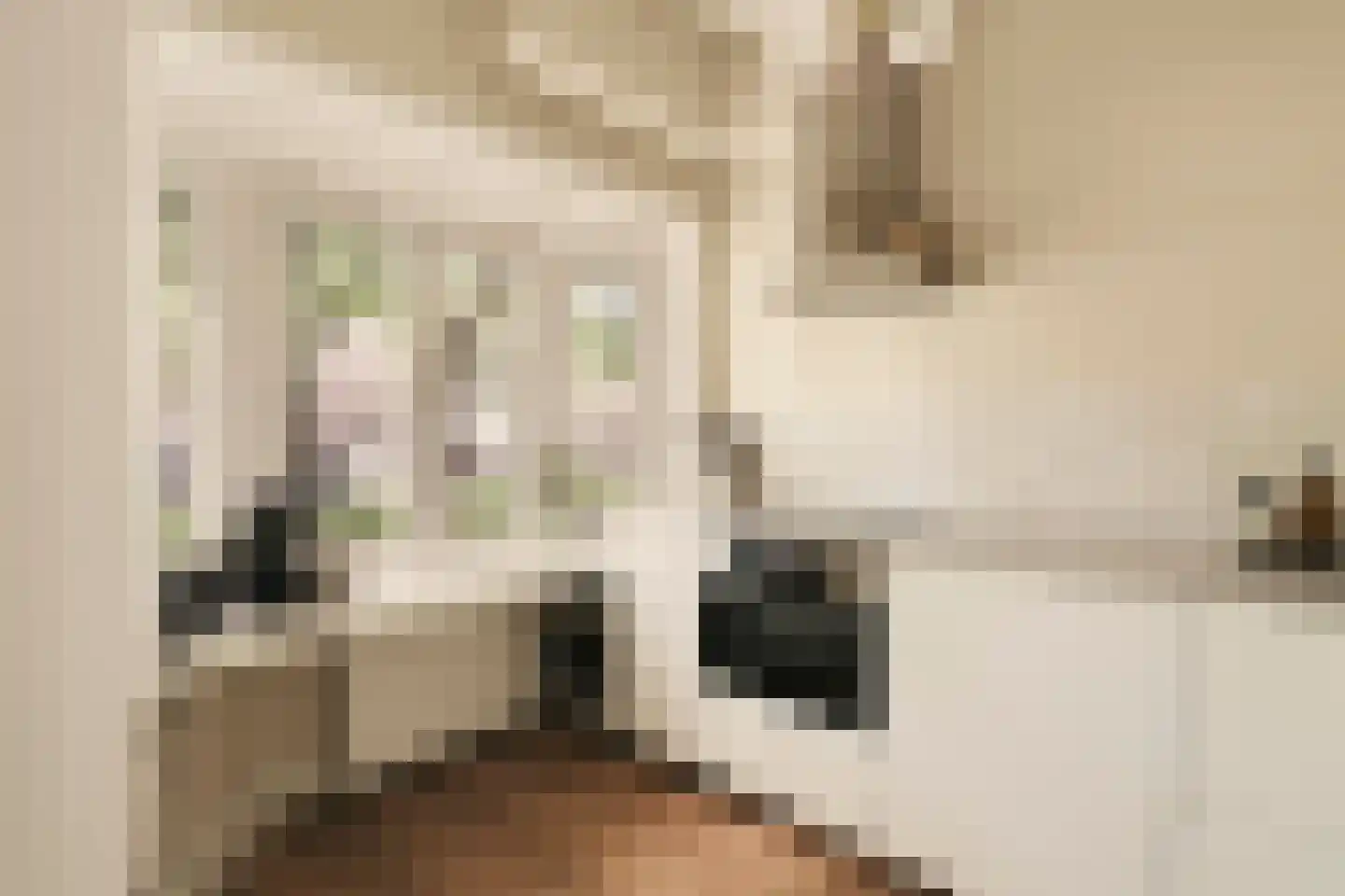 Willem de Zwijgerlaan 100 1 Amsterdam thumbnail 11