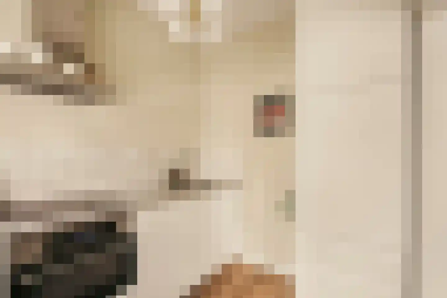 Willem de Zwijgerlaan 100 1 Amsterdam thumbnail 12