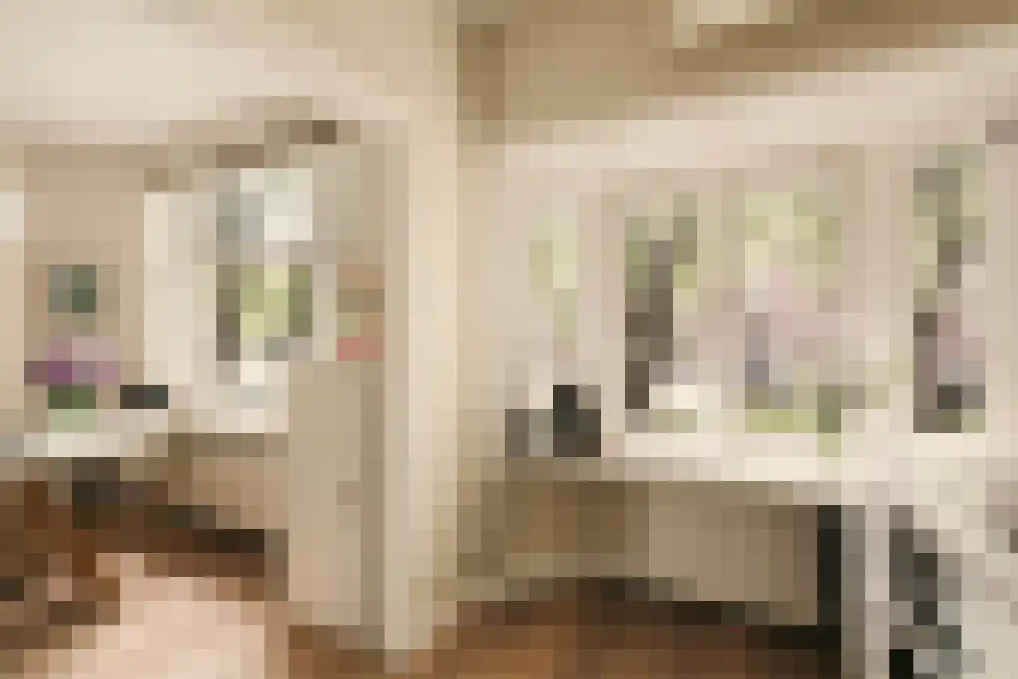 Willem de Zwijgerlaan 100 1 Amsterdam thumbnail 14